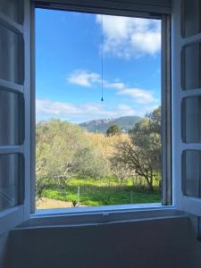 Villa Uliveto apartments img17