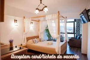 Sibiu Lotus Apartments - 锡比乌