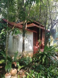 Banpainamhomestay