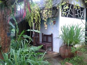 Banpainamhomestay