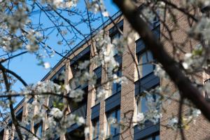 Deluxeapartments Chlebova Old Town