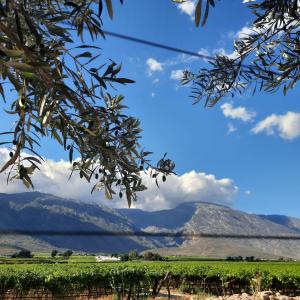 Monte Roza Guest House