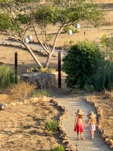 Finca Vidandrei CASA MAZAHUA