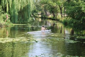 Villas Magnifique Moulin proche Chablis, jacuzzi et riviere : photos des chambres