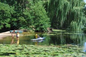 Villas Magnifique Moulin proche Chablis, jacuzzi et riviere : photos des chambres