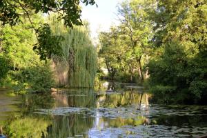 Villas Magnifique Moulin proche Chablis, jacuzzi et riviere : photos des chambres