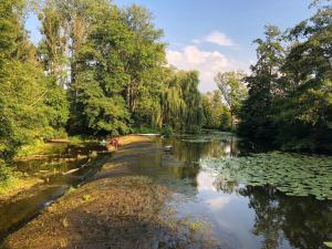 Villas Magnifique Moulin proche Chablis, jacuzzi et riviere : photos des chambres