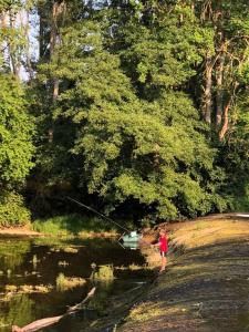 Villas Magnifique Moulin proche Chablis, jacuzzi et riviere : photos des chambres