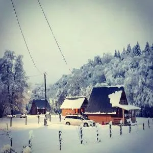 Naše malo selo-Jahorina - Sajice