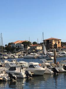 Maisons de vacances Maison Capbreton a 4 min des plages : Maison 3 Chambres