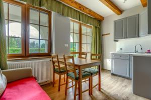 Duplex Apartment room in Pensjonat Rybical