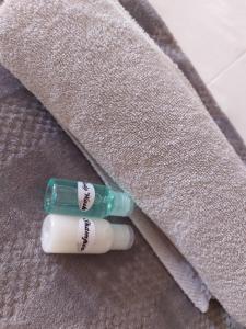 DeLutz Overnight Accommodation Room 2