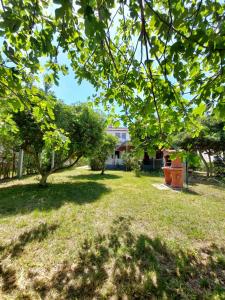 .....und der Hund darf mit