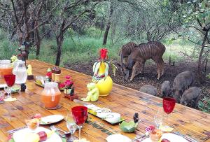 Wielewaal Bush Lodge