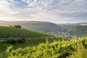 Hotel Moselblick