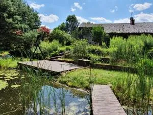 Mechowo Domek - Głuszewo