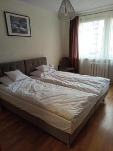 Apartamenty Jola