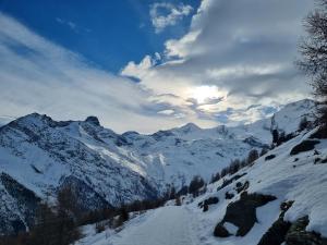Chalet Ideal Saas-Fee