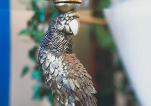 JUNGLE SUITE --- VASCA in camera