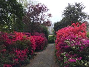 B&B / Chambres d'hotes Chateau La Rametiere : photos des chambres