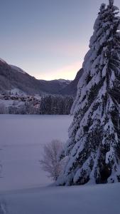 Appartements Au calme face au grand paysage : photos des chambres