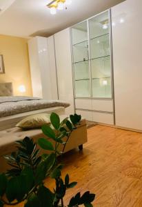 Casa Central Luxury