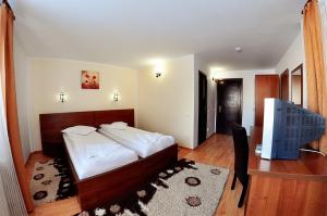 Double or Twin Room room in Pensiunea Sami