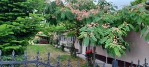 Kisfaludy Vendégház - Pély