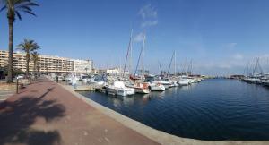 Agréable studio bord de mer