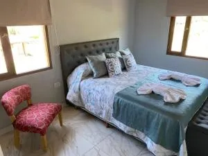 Santiago Apart - Concepción