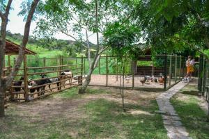 Chacara Maluco Beleza 2