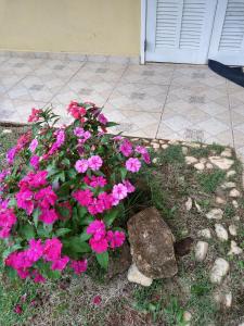 Pousada Pitoresca Casa Amarela