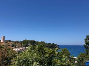 TORRE MARIZA Guidaloca