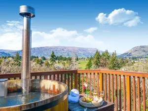 阿契威汽车旅馆小屋 - 瓦纳卡