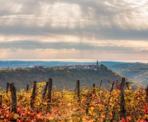 CONTEMPORARY HOUSE PADNA