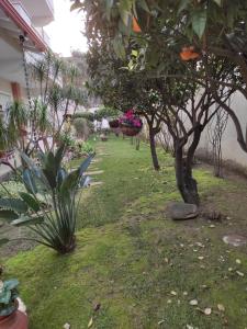 Villino Matilde img28