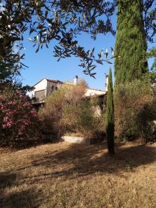 Maisons de vacances la Cigaliere : photos des chambres