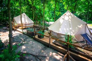 Glamping Ławica- spływy Przełomem Bardzkim