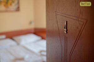 Classic Double Room (No Balcony) room in Penzion Termal