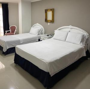 Hotel Suite Santa Rosa