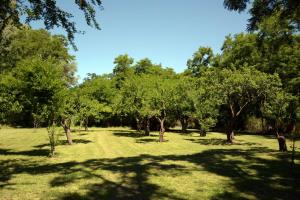 Yerba buena - Alojamiento rural - Casa principal