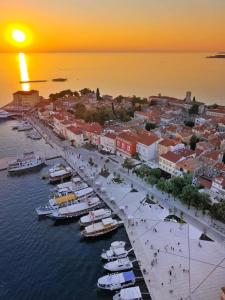Sea Star with Stunning Sea View