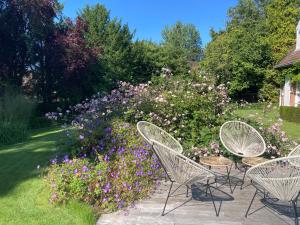 B&B / Chambres d'hotes Les Glycines : photos des chambres