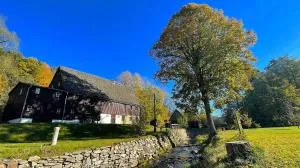 Wildbachidylle - 弗劳恩施泰因山