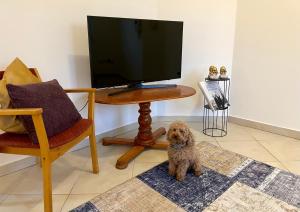 Booklovers apartment close to center