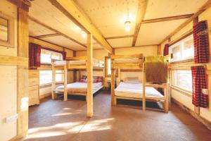 Entre Lemoine et larbre