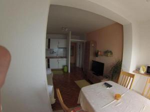 Apartment in Duce with sea view, terrace, air conditioning, WiFi 5061-3