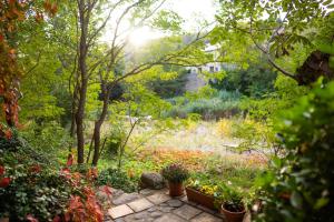 Appartements The Riverside Gite Lagrasse : photos des chambres