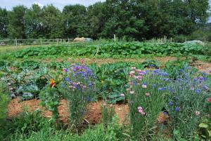 B&B / Chambres d'hotes Mas de Garrigue : photos des chambres