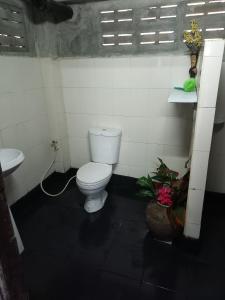 tree house chiang mai